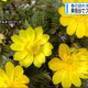 JRT四国放送