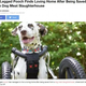 ���ѤμְػҤ˾�����᥷����ʲ����ϡ�LADbible 2020ǯ7��31���ա�Two Legged Pooch Finds Loving Home After Being Saved From Dog Meat Slaughterhouse�ס�Credit: Media Drum World/@emmarooonlyhastwo�ˡ٤Υ����꡼�󥷥�åȡ�