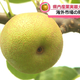 �ƥ�Ӷ���NEWS