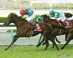 �ե��꡼����ӥ塼�ǣ�Ϣʣ���ݣ��ݣ��Ρ֥������Ϸ��פ���