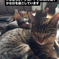 ¤3ɤλǭ