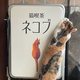 猫喫茶ネコブ
