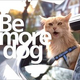  �����쥢���ƥ��֤�ǭ����ǭ���ɸ��Τ褦�ˤʤ�ɥХ����ư���Be more dog��