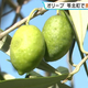 RKK
