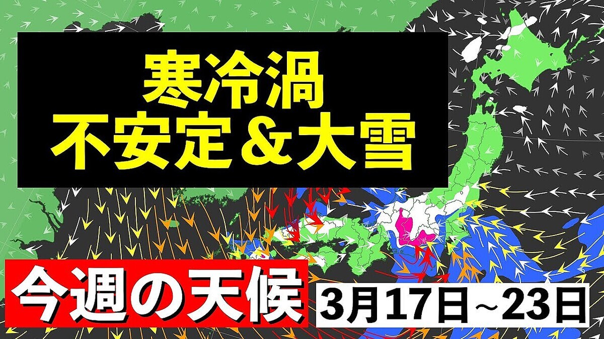 ����ͽ��Ρ��������αƶ����������ܳ�¦�����㡦�����β�ǽ����