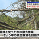 Daiichi-TV(�Ų����ƥ��)