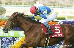 ���Ĺ��ᥨ���ݥ��ʺ��ˤϽ�Ȭ�֤Υ��󺹤��򥺥Хäȷ�᤿