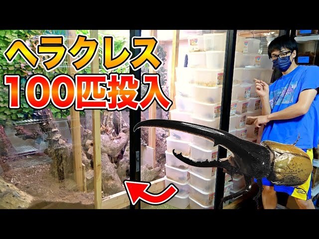 YouTuber����������Υ��֥ȥॷ100ɤ�����祱ー����������̴�Τ褦�ʸ��ʡ�