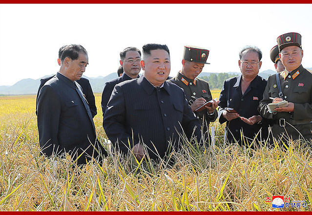 ��������������ϻ뻡�������������2019ǯ10��9����ī������̿�����