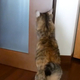 ���襤����­�ǥɥ���ͥ�������å�