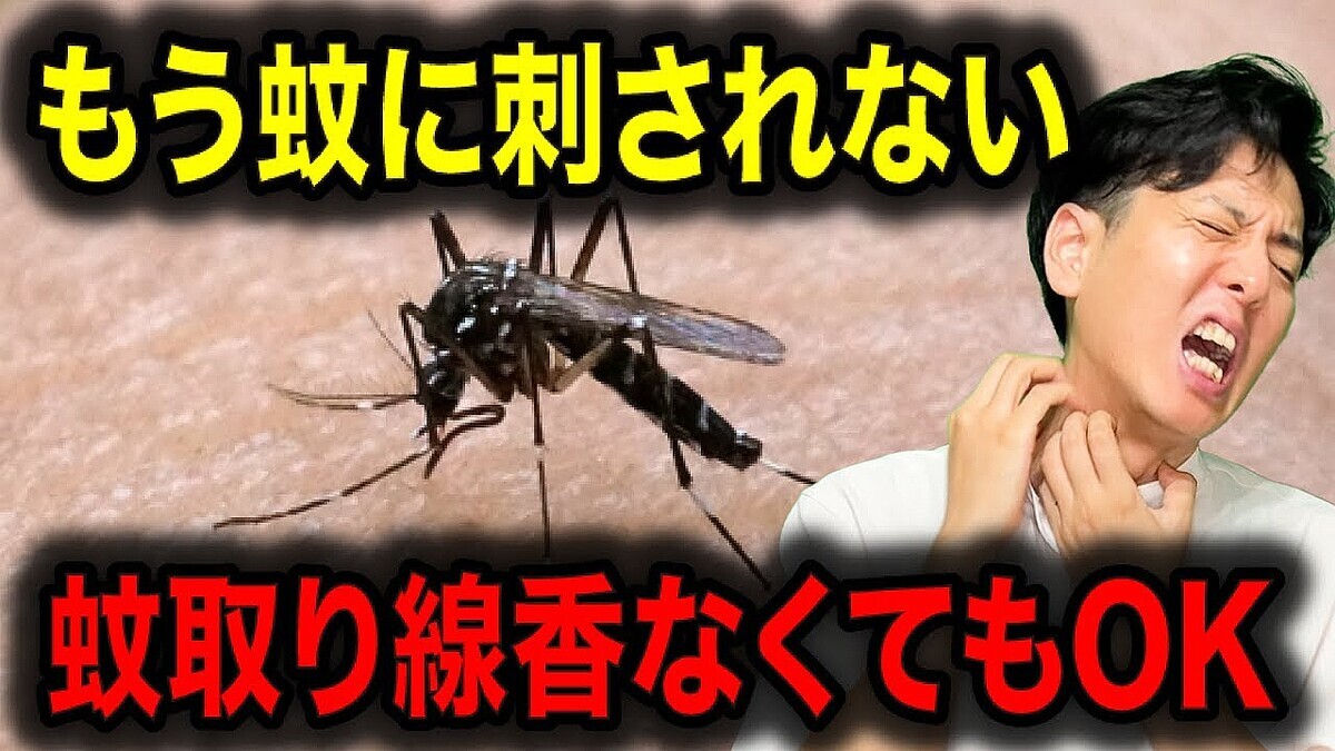 ��ϡ֥���١������˾�ä����׺������Ȥ���Ƕ�����饤�եϥå��ڻ��ز��ҥߥĥ뤵��Ϣ����1���