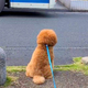 �Х���ȯ��2ʬ�����������繥���ʱ�ž�ꤵ��٤ˤɤ����Ƥ�񤤤����ơ���Ũ������ؤޤ����ο��б��٤�11��������ͥ��������ס�����갦��