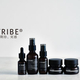 �ȼ���Ʃ���ѤΥ���������쥹�������󥱥��֥��ɡ�B.TRIBE������