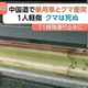 TBS NEWS DIG Powered by JNN