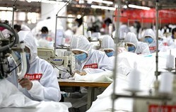 ���ѥ���Ȥ������к�ʪ�����¤����ꡡ���̾ʹտ��