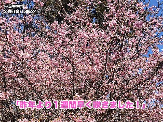 �����ߤϵ�ϿŪ�����ߡ���¬�˾�ǹ��������¿��