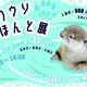  カワウソほんと展 