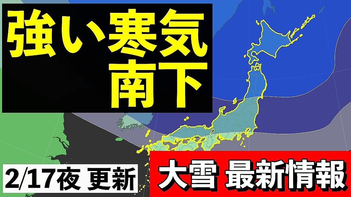 ����ͽ��Ρ�����ͪ������Ĺ�������ȡɤǤ�����˷ٲ��ƤӤ������ä����̤Ǥ�70cm�β�ǽ����