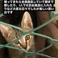 ̵֤ˤǭ