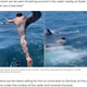 ���Ȥʤ����֥��Х���פ��Ȼפ����ӹ���������ʲ����ϡ�7NEWS.com.au��2020ǯ9��29���ա֡�That��s not a basking shark, dude��: Man swim with ��harmless�� creature takes terrifying turn�ס�Credit: TikTok/rydersonthestorm�ˡ٤Υ����꡼�󥷥�åȡ�
