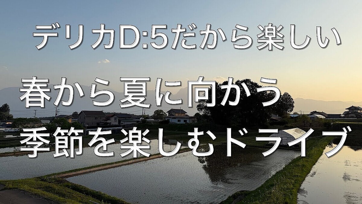 �����ԥ󥰥�ーYouTuber�����������������μ�����˭�����ɤȥɥ饤�֤ζ˰� �ִ�����������궦¸��