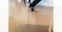 よちよち歩きの赤ちゃん黒猫が話題 120.6万回再生の大反響