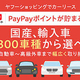 Yahoo!åԥ󥰤˥꡼ŹSOMPOǾ衼롡աŹפŹ300ּ饤󥢥åסPayPayݥȤͿ