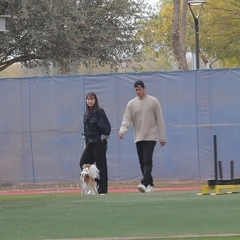大谷翔平（右）と真美子夫人＆デコピン（カメラ・安藤　宏太）