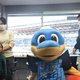 �ָ��륵�å����פγ�����ʤ�����JFA��SDGs�˼���Ȥ���ͳ