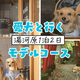 ڸȤФ ϸ12ǥ륳ーۥɥåեーȤʤɤ䥫ե롪ո～ーϸDog&Resort～WAKAFE～ϸե