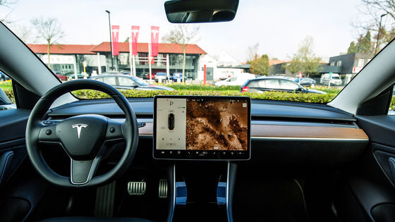 �ƥ��餬������ư��ž��ǽ����鸫��������ǳڶ�������ǽ��