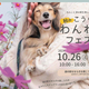 ڼ츩/Υ٥ȡ۸̥ղⳫšƻαؤեסƻαؤ餮Τμ10/26,27