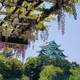 ̾�Ų����վޤ��ʤ���ƣ��ڤ����Τϰ�ǯ�˰��٤�����̾�Ų����̶��̾������