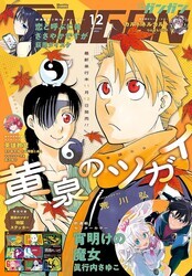 画像はAmazonより