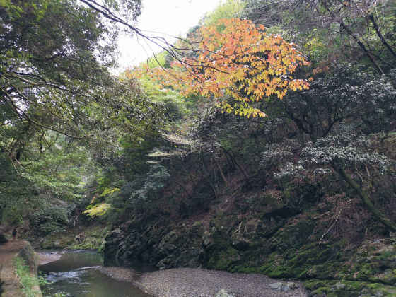 �����ԡ۵��Ԥα����ߡֹ�ͺ�פ��纮���ι��ե�������Ǥ��Ŭ��ˬ��Ǥ���΢��