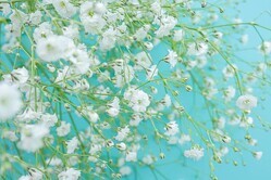 1113ꤤ12¥󥭥󥰡1̤ϲ