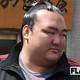 ������Τ�������르�åɥϥ�ɡ���8���Υ�ϥӥ��