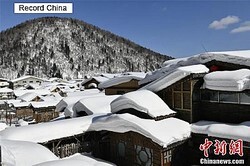 ���������ʥ����륹���������αƶ����������ε���ʤ��㶿�ϰ��Ū�˳�������ߤ��졢Ĺ���ּ����Υ�פ��Ϥޤä���