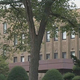 STV�˥�ー���̳�ƻ