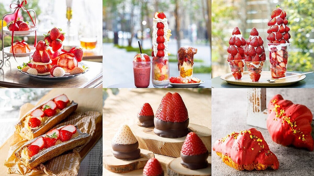 ���٤Υϥ륫����Ŵ��Ź�ǡ֤�����PARTY�ס�����������ー�Ľ���