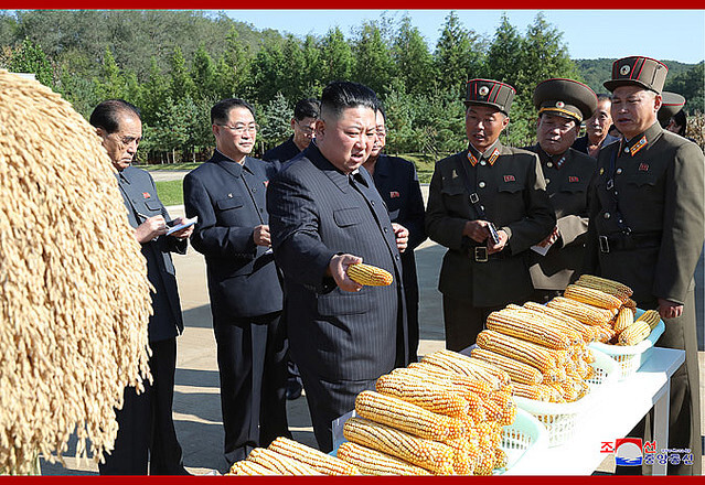 ��������������ϻ뻡�������������2019ǯ10��9����ī������̿�����