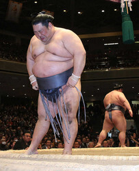 ���ʾ����ˤ�ͥ�����᤿����ζ�ʺ��ˤϹ�㤷�����Ф餯���ξ��ư���ʤ��ä��ʻ��ơ���������Ϻ��