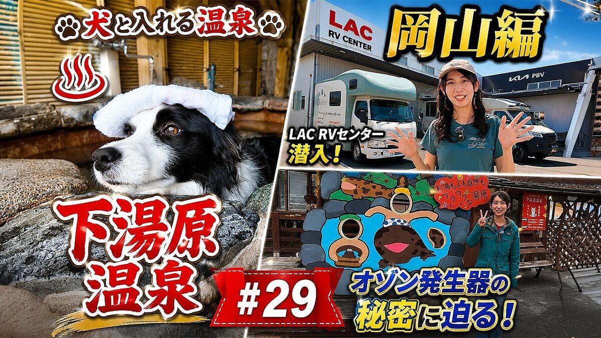 �ڤ�󤳤�����ι�۰����ȥɥå����ʻ�ߤβ���������������ء��ǿ��ý����å���Ҳ�