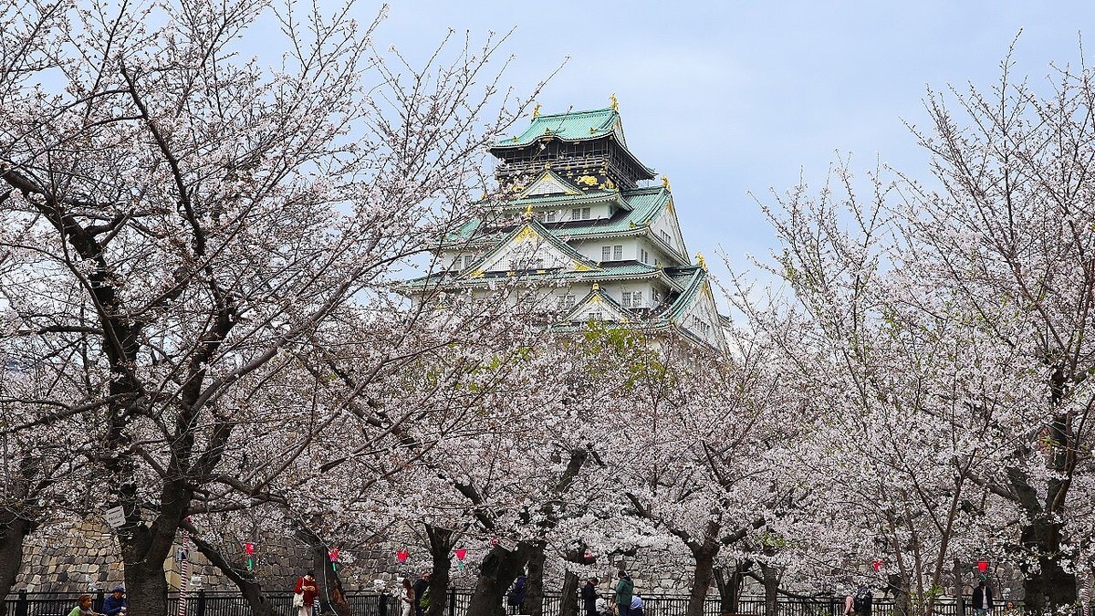 �������κ����������ָ��ҤǤˤ��臘