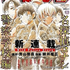 
          ��ë�������Ŀ�ʿ���븶���󡢰�ã�ҡ������ʸ��μ㤭��������
        