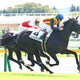 初勝利を飾ったインテルラゴス（手前）（カメラ・荒牧　徹）