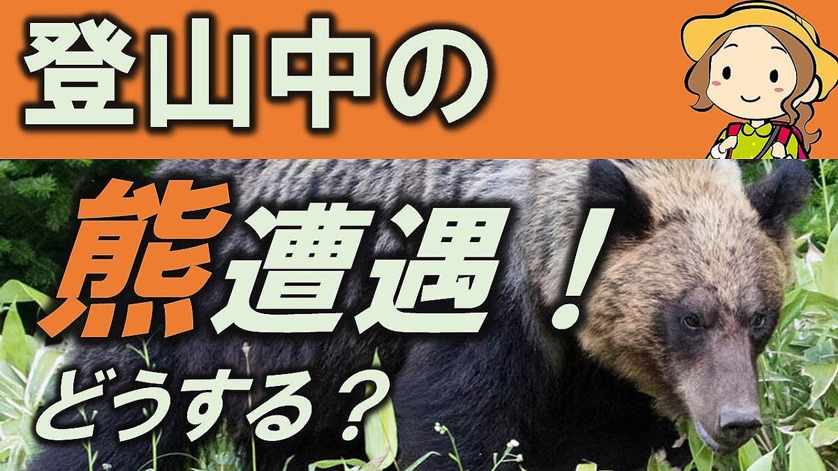 登山中にクマと出会ったら？低山ハイカー英武ゆうが備えと注意点を紹介