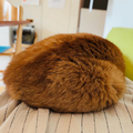 ݤޤäƤǭ