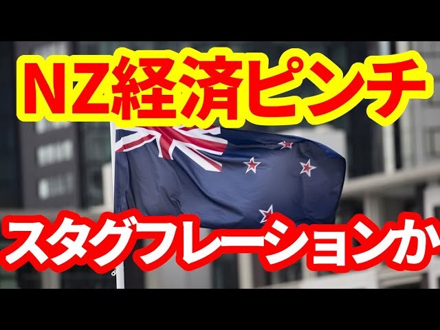 �ַʵ��������Τ˥���ե��®��NZ�кѤǵ����Ƥ���ȥ������ե졼�����ɤȤ�