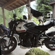 キジ白猫がバイクのタンクとシートに足をかけて立っている様子